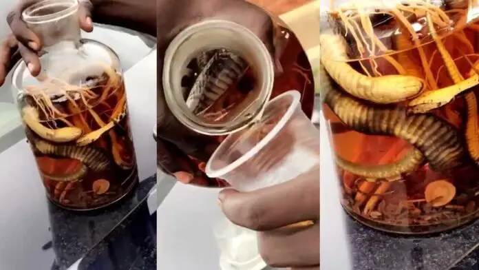 Locally made bitters stuffed with a live snake causes stir on social media (+Video)