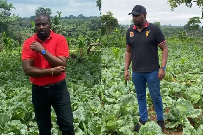 John Dumelo Discloses The Cash He's Making After Selling His Cabbage Every Three Months As A Farmer 