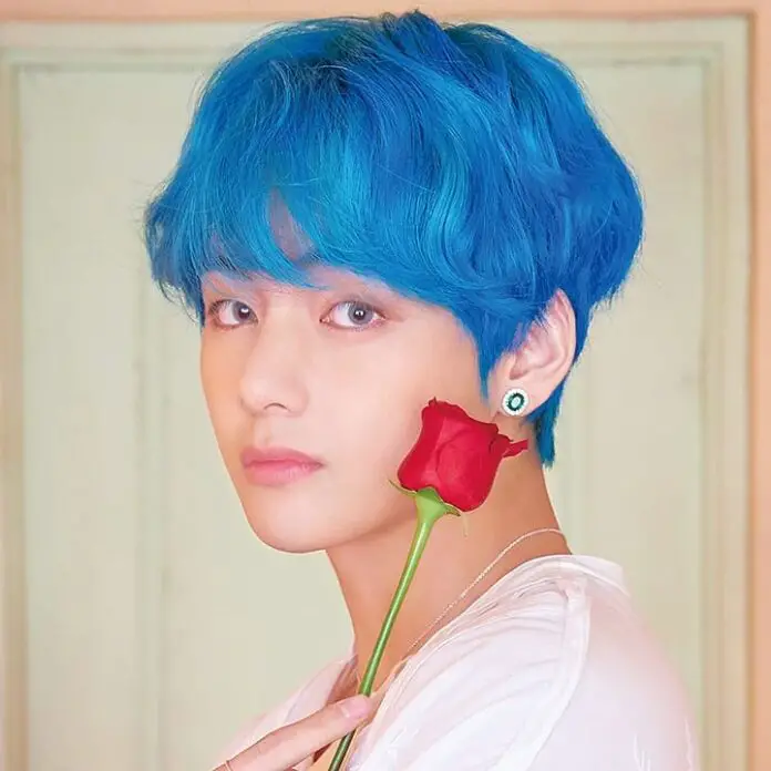 Kim Taehyung Age, Family, Girlfriend, Net Worth, Songs, Awards and More