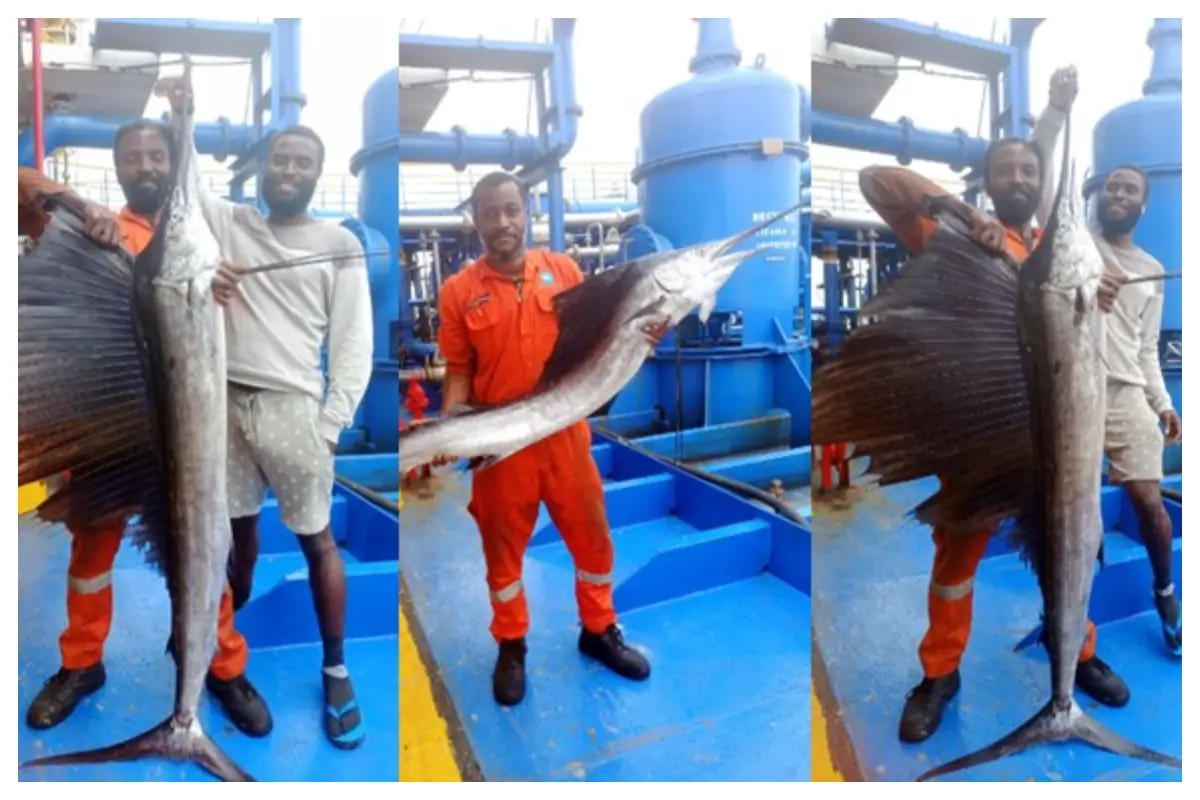 Nigerian men catch world’s fastest fish worth over $1,500 but ate it with pepper soup without knowing its value » JustOnlyNews•com™