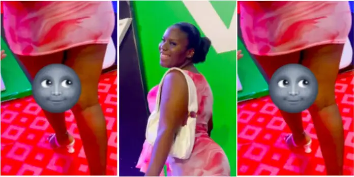 Shameless Lady shows all her r0tten trumu at VGMA red carpet