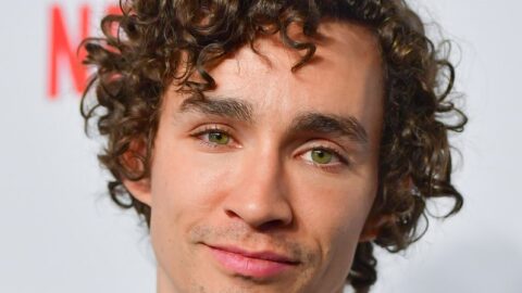 Robert Sheehan: Age, Net Worth, Family, Partner, Movies & All Facts