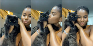 Fear man and buy a cat – MzVee
