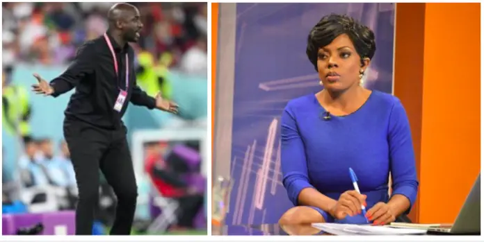 Otto Addo knows nothing about tactical changes – Nana Aba Anamoah