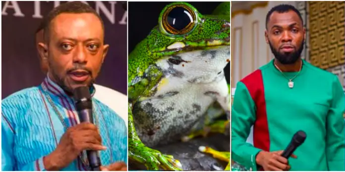 ‘He’s like a frog’ – Rev. Obofour descends heavily on Rev Owusu Bempah